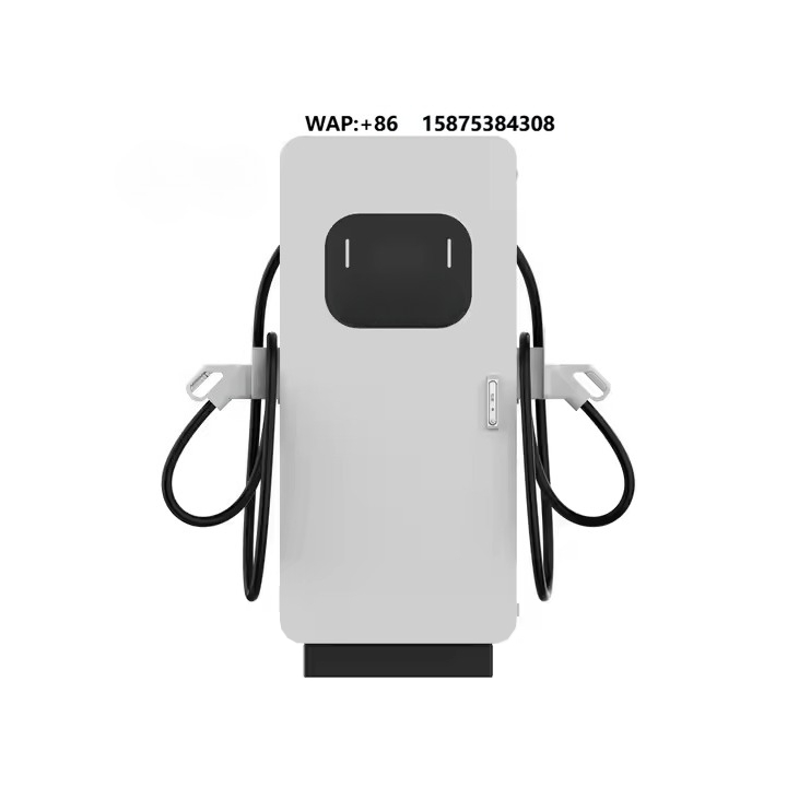 DC Charging Station Supplier 6 - Ev Charging Station 60Kw Dc Fast recension och pris